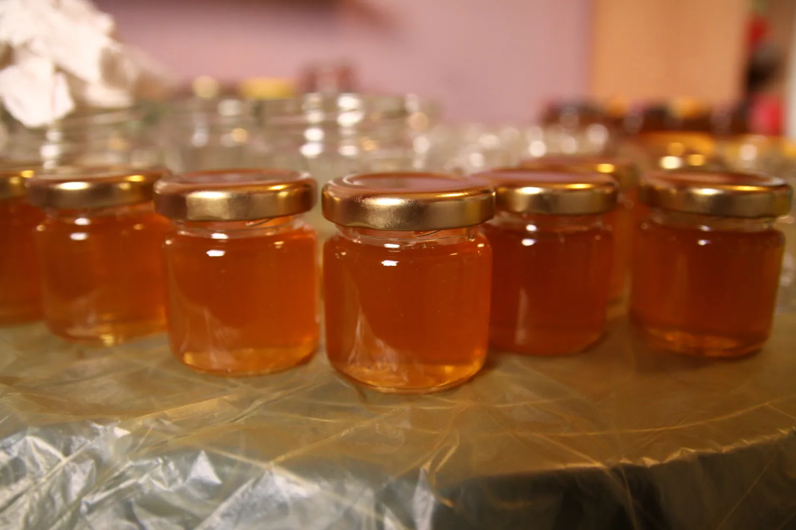 Schnupperkurs Bienenhaltung (Thumbnail 3)