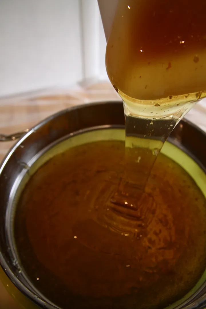 Schnupperkurs Bienenhaltung (Thumbnail 2)