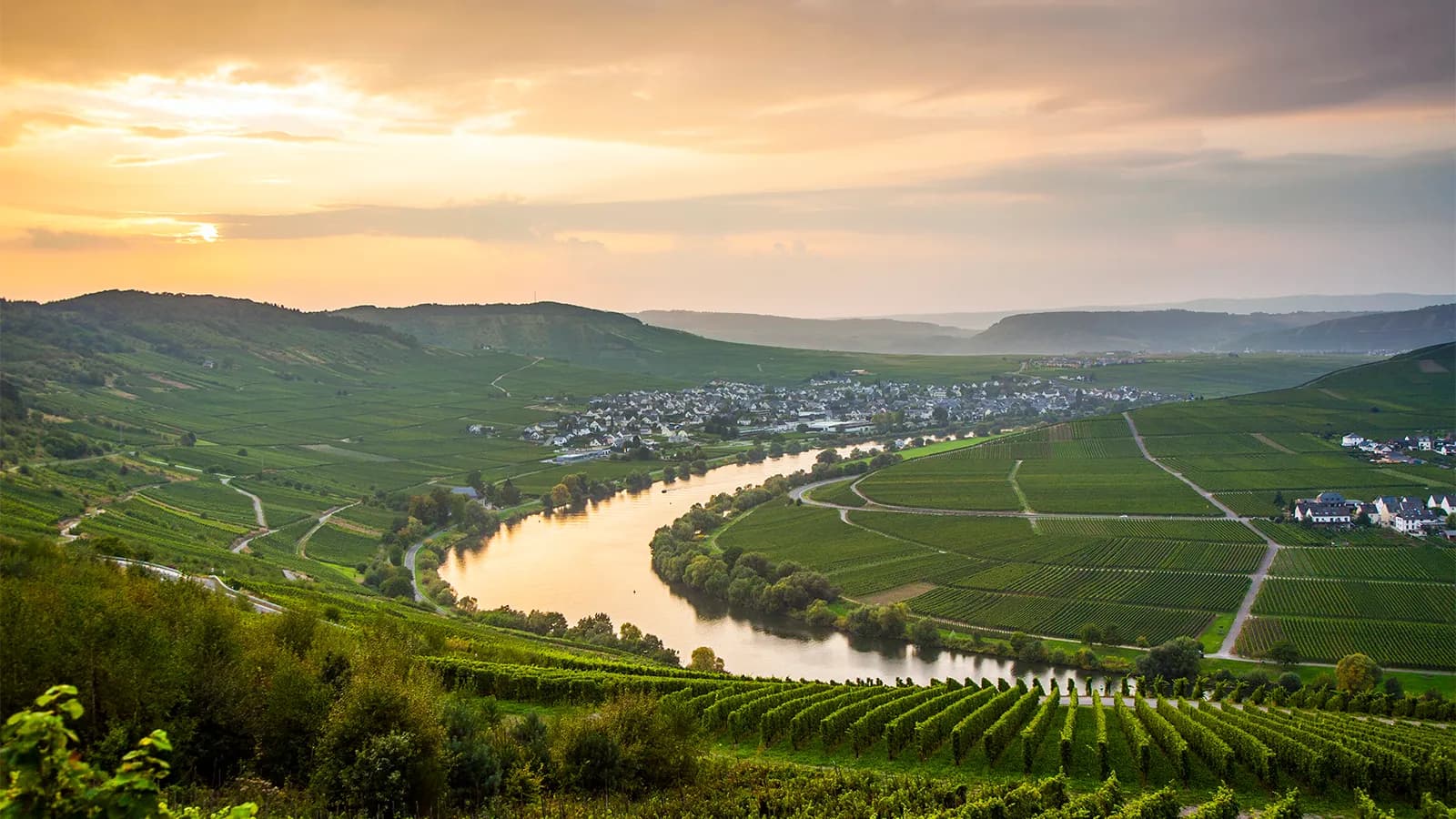 Weintasting: Deutschlandreise (Titelbild)
