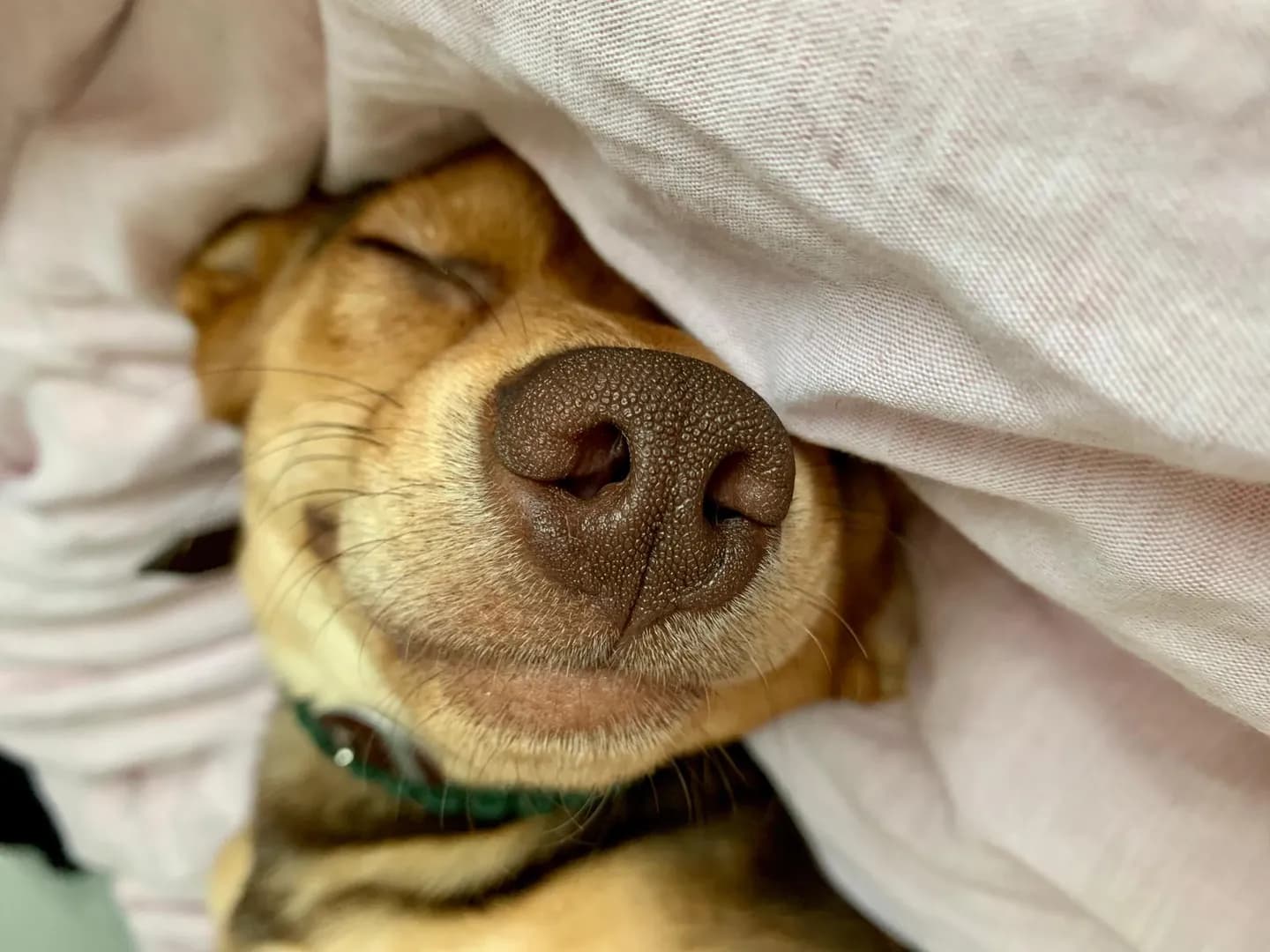 Fototransfer Workshop - Fotos im Vintagelook auf Fliesen oder Holz (Thumbnail 5)