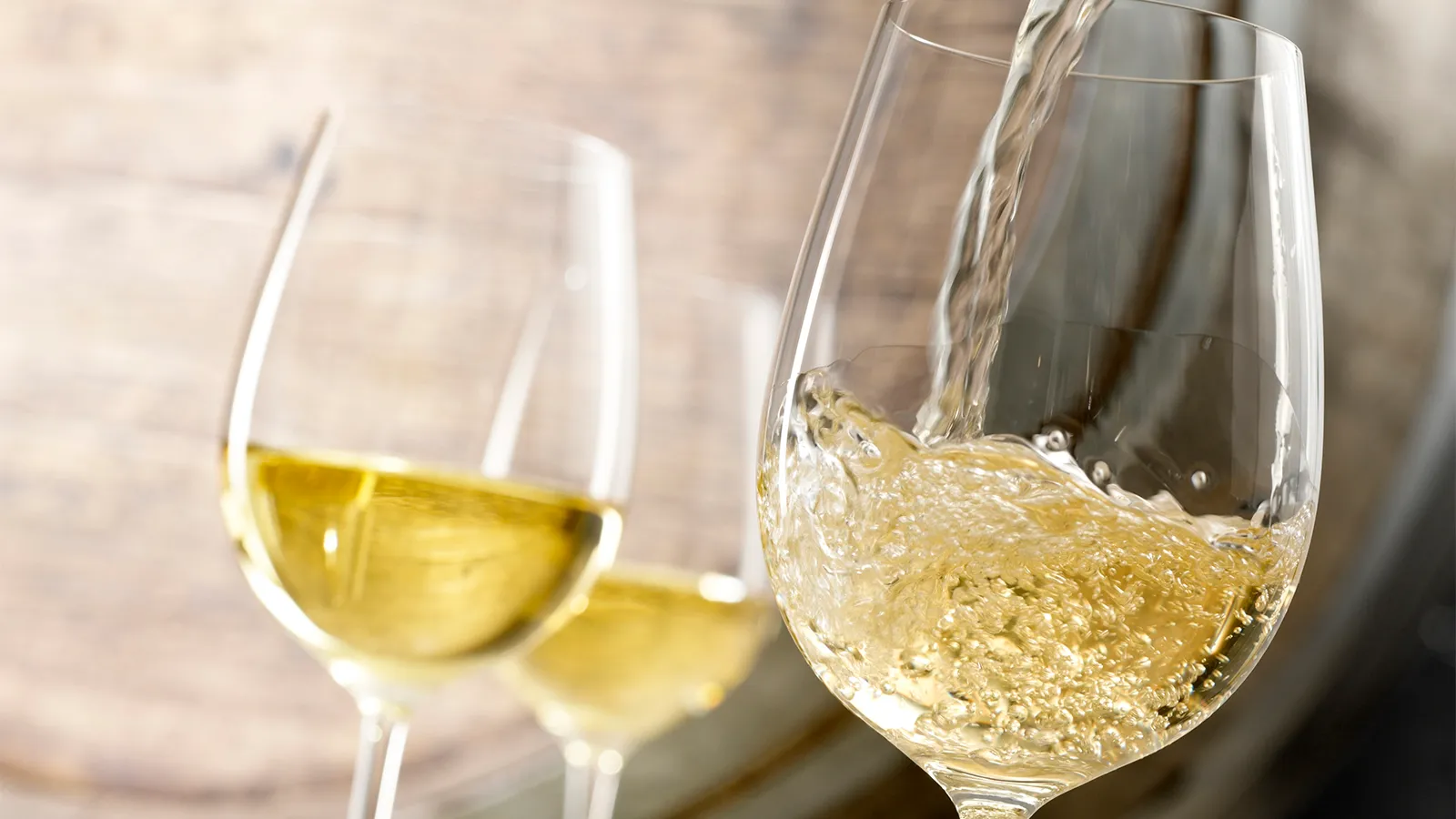 Weintasting: 8 unter 8 - Acht gute Weißweine unter 8€ (Titelbild)