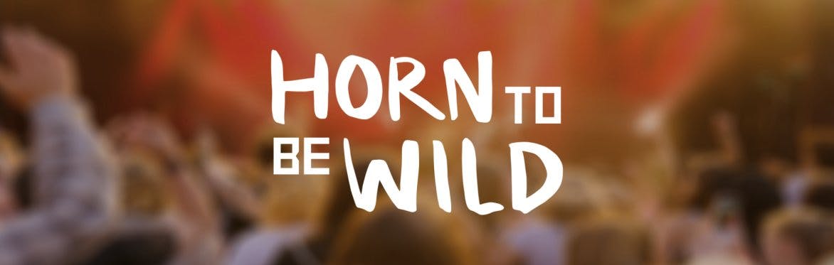 Horn to be Wild Festival 2024 - Vorschaubild 0