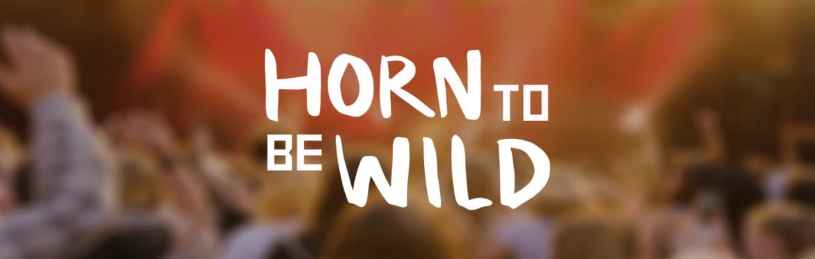 Horn to be Wild Festival 2024 (Titelbild)