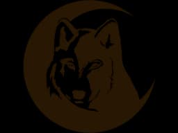 Wildnis- und Survivalschule Schattenwolf GbR